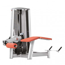 GYM 80 SYGNUM Lying Leg Curl