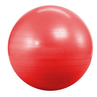 Фитбол Landfit 55 см (с насосом)